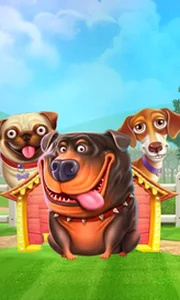 The Dog House
